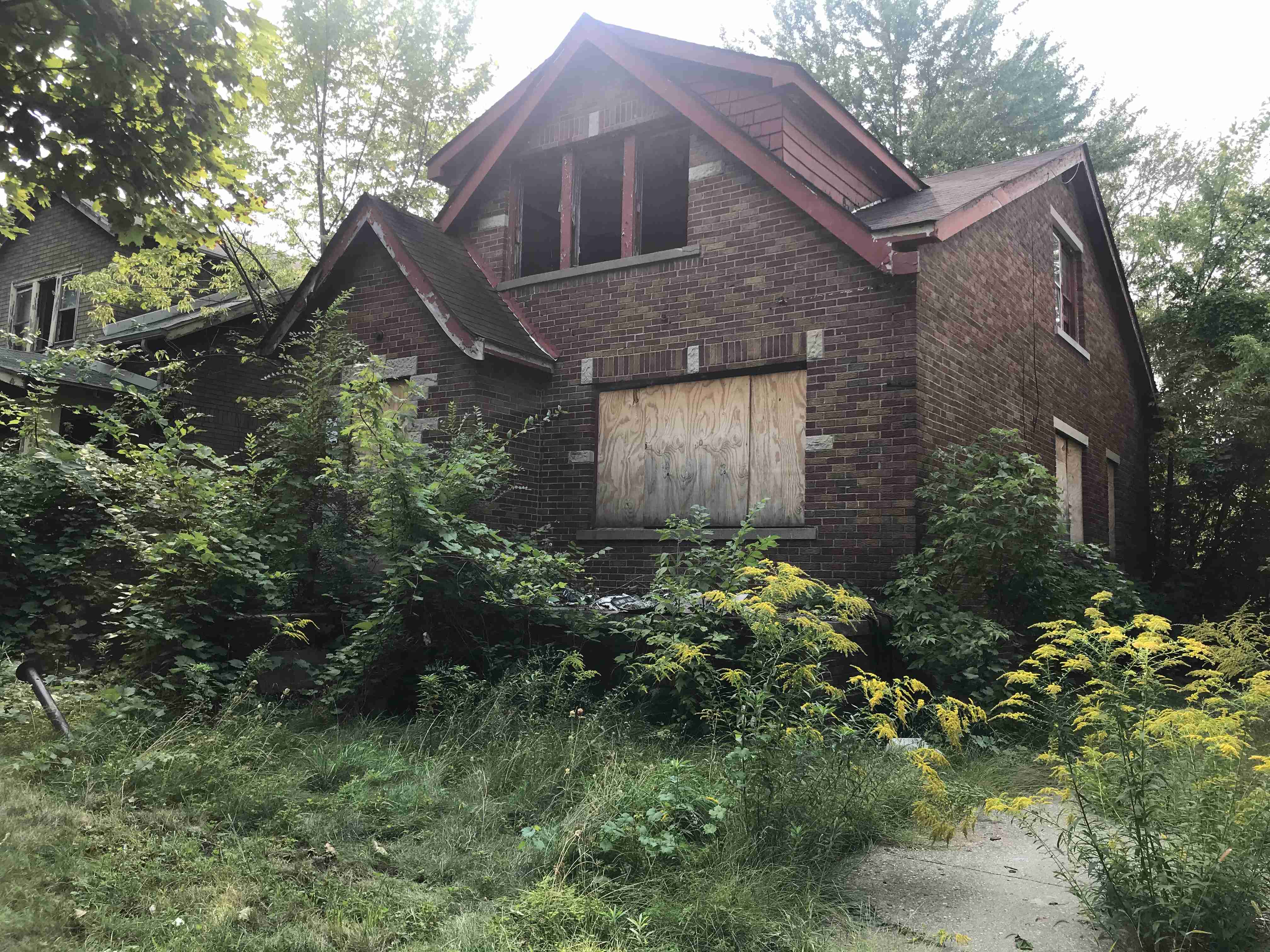 Photo Sep 15, 3 24 26 PM.jpg